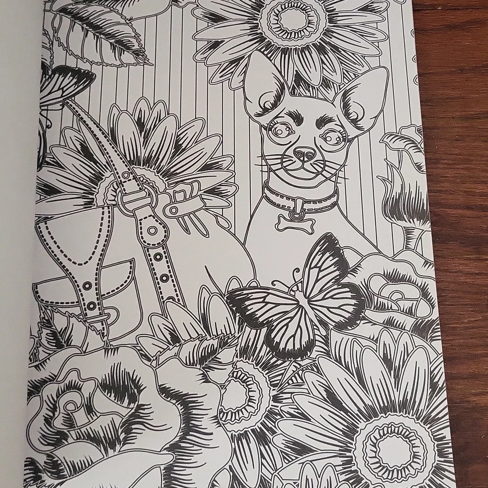 NWT Set of 2 Adult Coloring Books